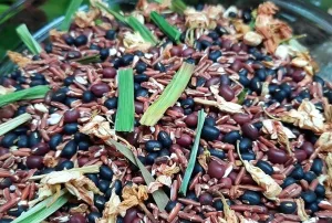 Trà gạo lứt có tác dụng gì
